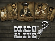 Игровой автомат Dead or Alive